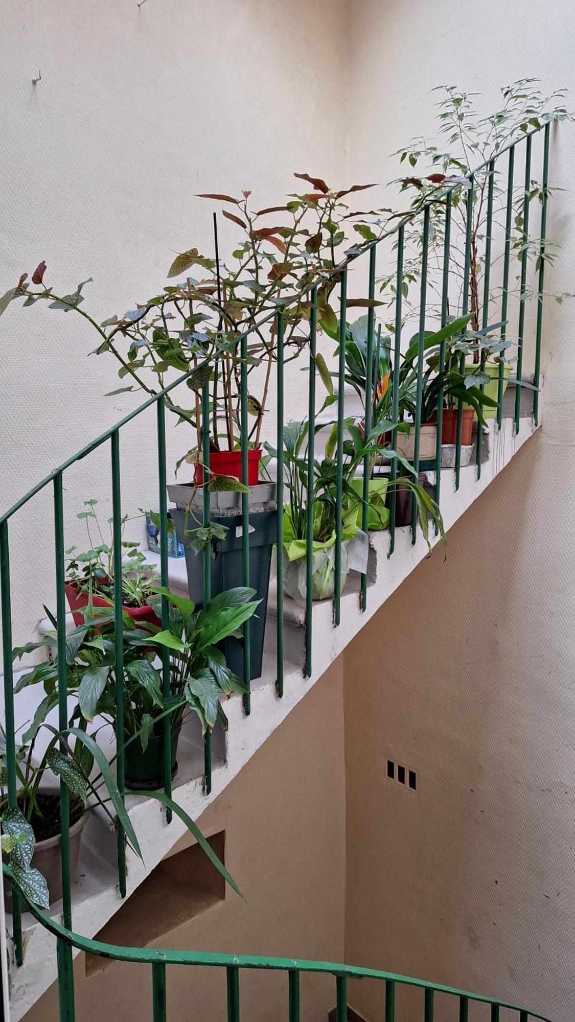 Vacance Et Cure Dans Duplex 80 M2 A Ceret 66400 Exteriér fotografie